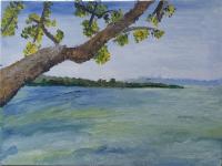 Branche sur mer